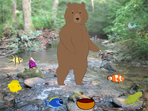 bear and fish